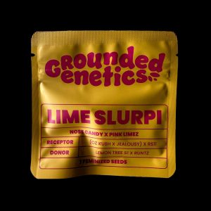 Lime Slurpi Grounded Genetics