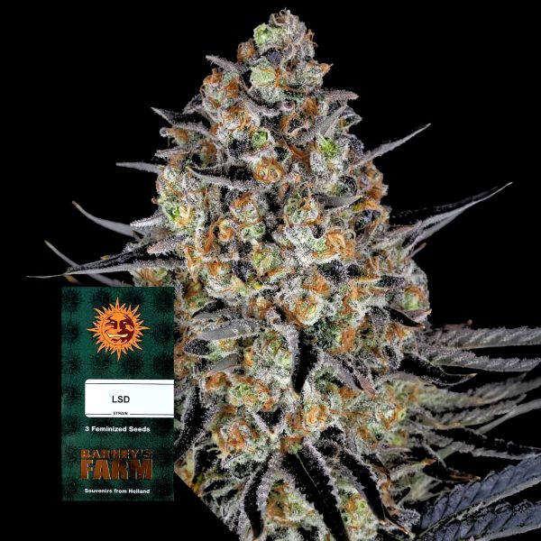 Barneys Farm LSD