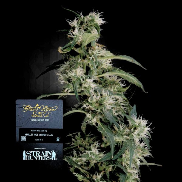 Green House Seeds Mango Haze (AUH2)