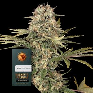 Master Kush Barneys Farm