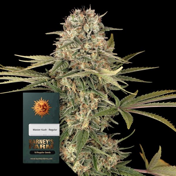 Barneys Farm Master Kush