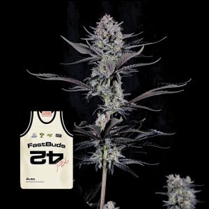 Mendo Guava Auto 420 Fast Buds