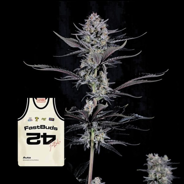 420 Fast Buds Mendo Guava Auto