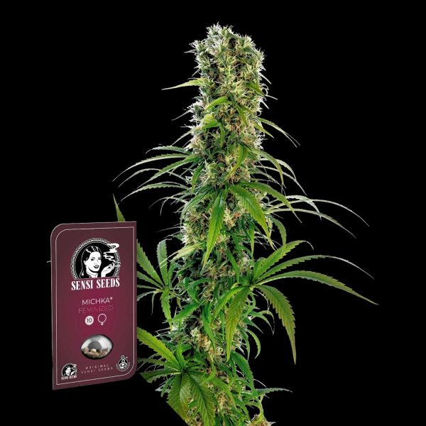 Sensi Seeds Michka