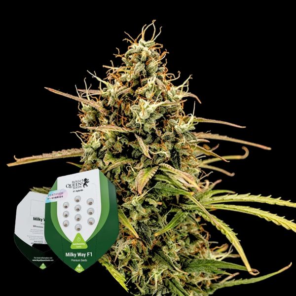 Royal Queen Seeds Milky Way F1 Auto