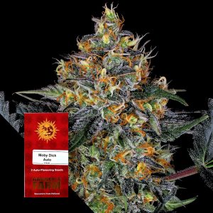 Moby Dick Auto Barneys Farm