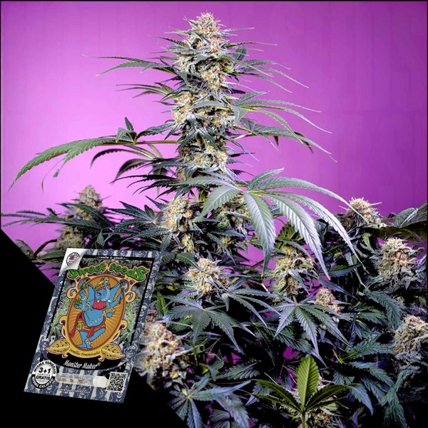 Sweet Seeds Monster Maker