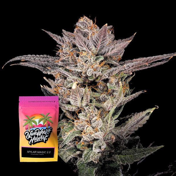 Nine Weeks Harvest Mylar Magic 2.0