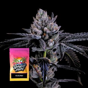 Mylar Magic Nine Weeks Harvest