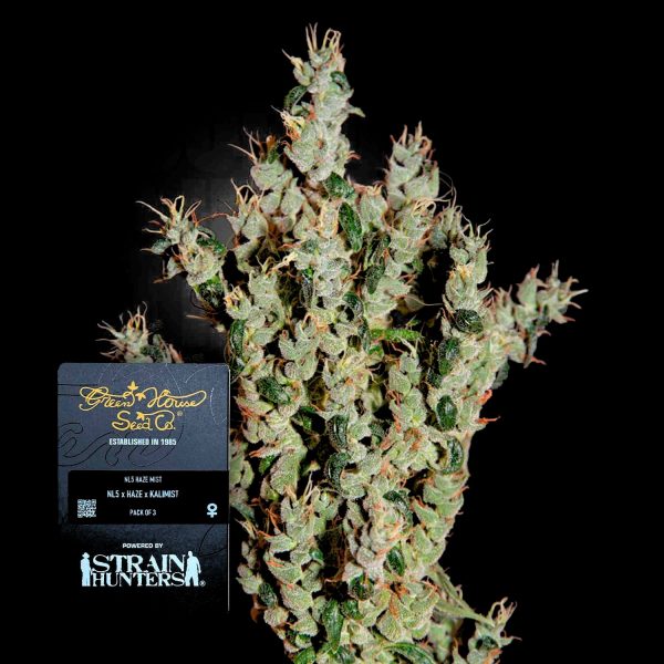 Green House Seeds NL5 Haze Mist