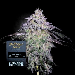 Green House Seeds Nori Cake