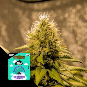 Northern Lights Holy Hemp
