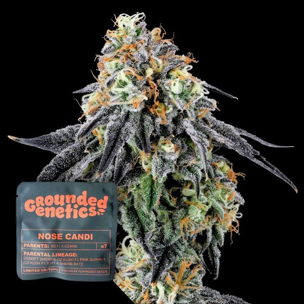 Grounded Genetics Nose Candi
