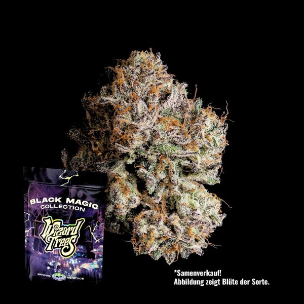 Wizard Trees Obsidian