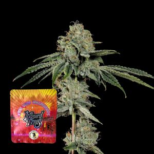 Og Hour Wizard Trees