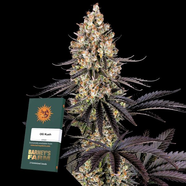 Barneys Farm OG Kush