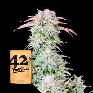 Original Auto Afghan Kush 420 Fast Buds