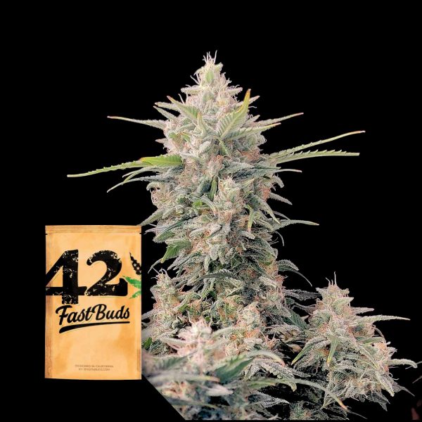 420 Fast Buds Original Auto Skunk
