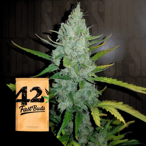 420 Fast Buds Original Auto Sour Diesel