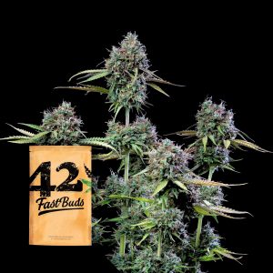 Original Auto Trainwreck 420 Fast Buds