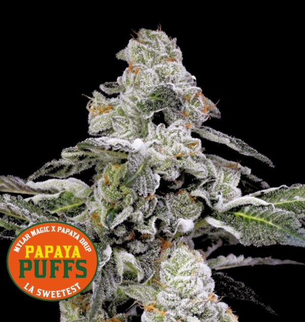 Nine Weeks Harvest Papaya Puffs