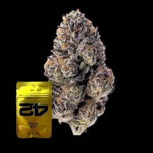 Papaya Sherbet 420 Fast Buds