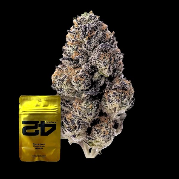 420 Fast Buds Papaya Sherbet