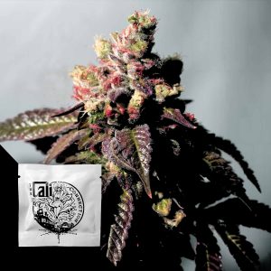 Passion Berry Cali Connection
