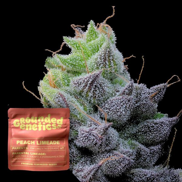 Grounded Genetics Peach Limeade