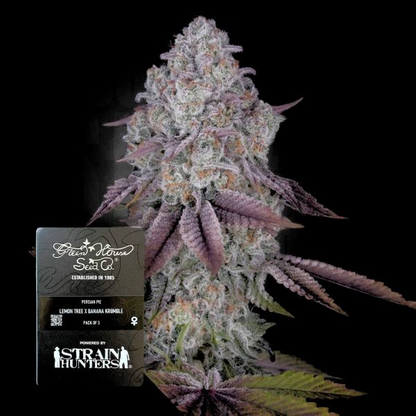 Green House Seeds Persian Pie