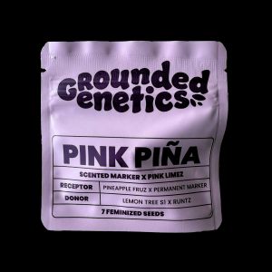 Pink Pina Grounded Genetics