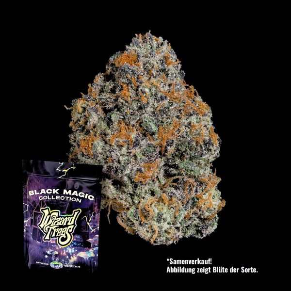 Wizard Trees Potion