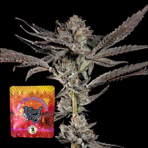 Propa Candy Wizard Trees