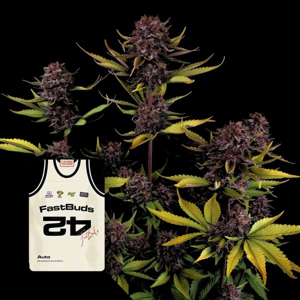 420 Fast Buds Purple Lemonade Auto RF3