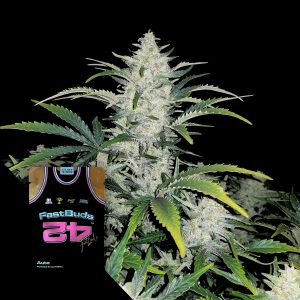 Rhino Ryder Auto 420 Fast Buds