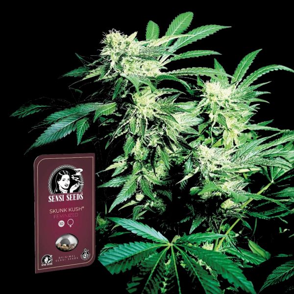 Sensi Seeds Sensi Skunk Auto