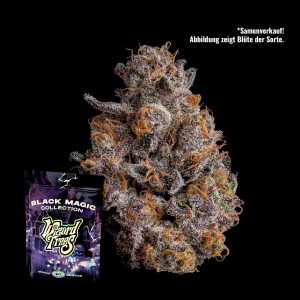 Shazam Wizard Trees