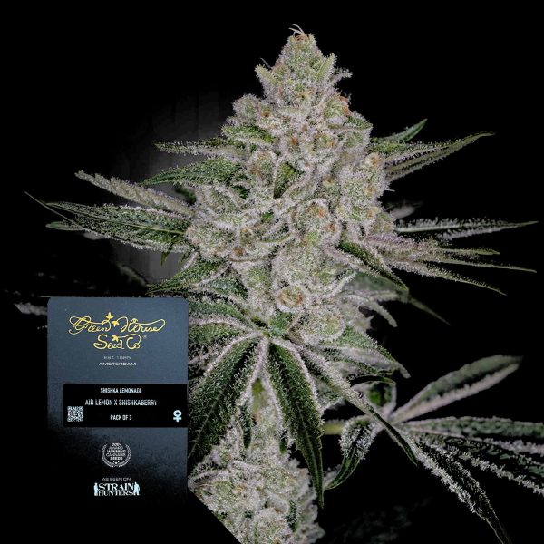 Green House Seeds Shishka Lemonade
