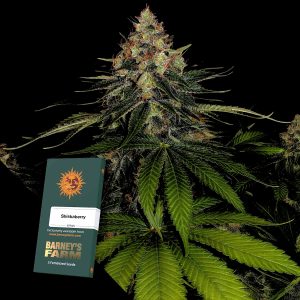 Shiskaberry Barneys Farm