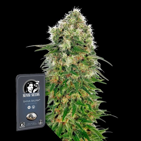 Sensi Seeds Shiva Skunk Auto