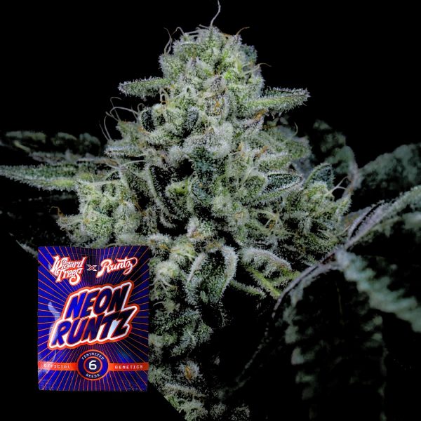 Wizard Trees Side Piece