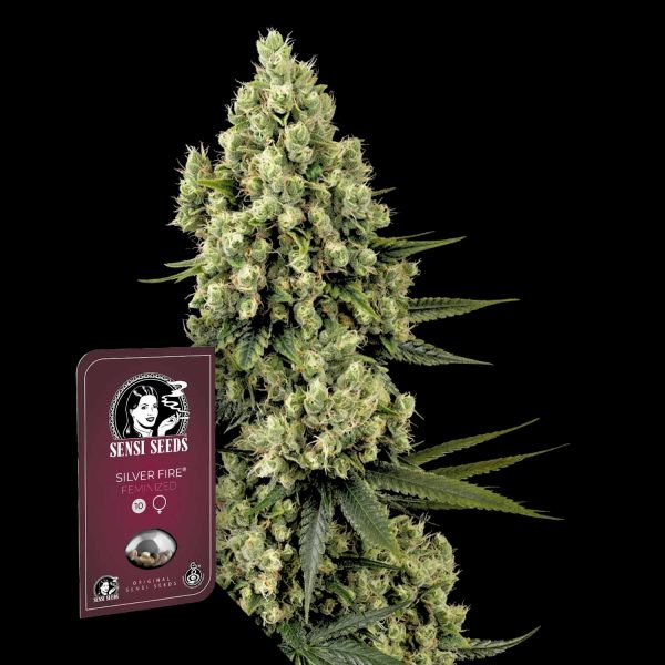 Sensi Seeds Silver Fire