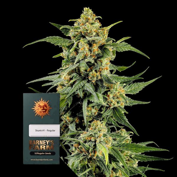 Barneys Farm Skunk #1