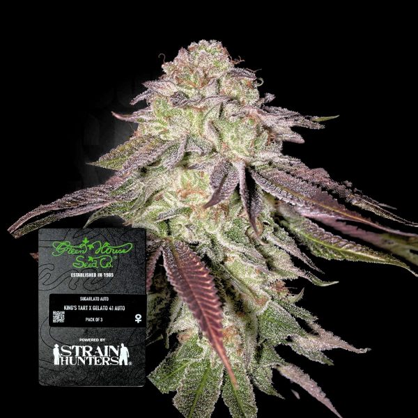 Green House Seeds Skunk Auto
