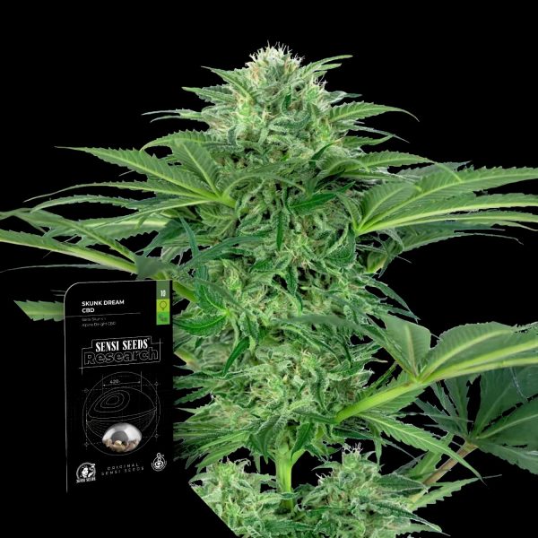 Sensi Seeds Skunk Dream CBD