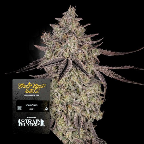 Green House Seeds Sky Walker Auto