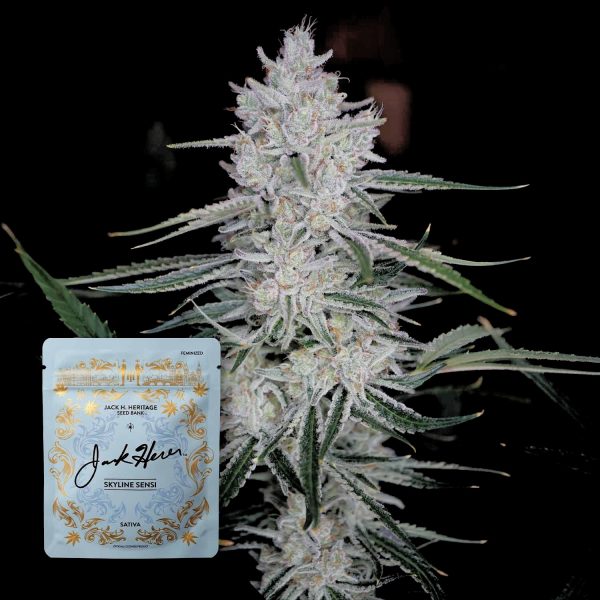 Jack Herer Reserve Skyline Sensi