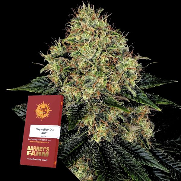 Barneys Farm Skywalker OG Auto