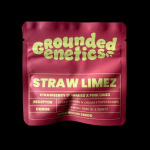 Straw Limez Grounded Genetics