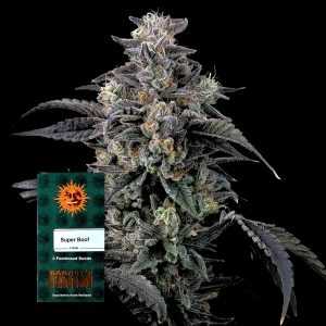 Barneys Farm Super Boof